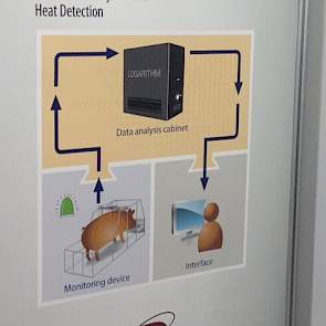 Daarnaast presenteerde Ro-main nog een berigheidsdetectiesysteem. Een datakast met analysesysteem wordt boven op de zeugenbox gezet. Deze registreert continu het gedrag van de zeug. Als de zeug het piekmoment in haar berigheid bereikt, krijgt de varkensho