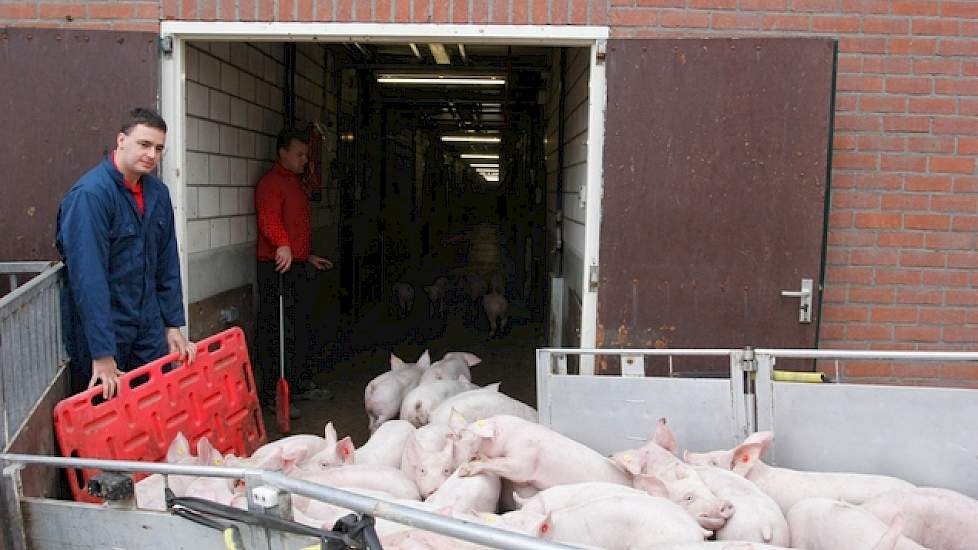 De hoofdtaak van Arjan zijn de varkens. Naast Arjan werkt er nog een voltijd arbeidskracht in de stallen. De familie Van Leeuwen komt oorspronkelijk uit Deurne. In Deurne hadden ze zeugen, vleeskuikens en akkerbouw. Na de uitbraak van de varkenspest beslo