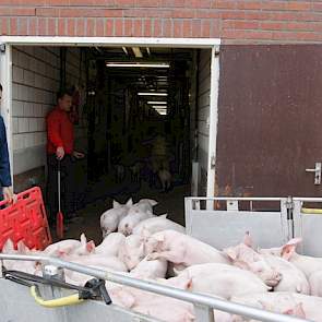 De hoofdtaak van Arjan zijn de varkens. Naast Arjan werkt er nog een voltijd arbeidskracht in de stallen. De familie Van Leeuwen komt oorspronkelijk uit Deurne. In Deurne hadden ze zeugen, vleeskuikens en akkerbouw. Na de uitbraak van de varkenspest beslo