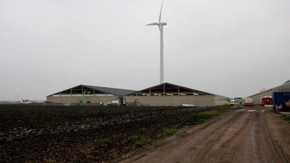 De stal die vader en zoon aan het bouwen zijn, heeft twee kappen met in het midden een centrale gang van 2 meter onder een plat dak. Aan weerszijden van deze gang zijn de afdelingen, 12 onder elke kap, met 28 hokken voor 13 varkens. Voor deze vorm en omva