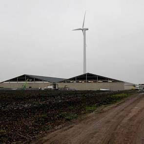 De stal die vader en zoon aan het bouwen zijn, heeft twee kappen met in het midden een centrale gang van 2 meter onder een plat dak. Aan weerszijden van deze gang zijn de afdelingen, 12 onder elke kap, met 28 hokken voor 13 varkens. Voor deze vorm en omva