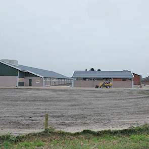 Rechts op de achtergrond zijn de oude vleesvarkensstallen zichtbaar. Rudie en Karin houden hier nu nog ruim 700 vleesvarkens. Binnenkort gaan ze deze dieren houden binnen het één ster Beter Leven Keurmerk. Na deze aanpassingen zullen ze iets minder dan 70