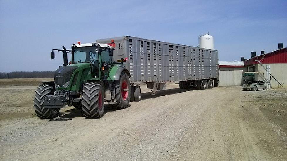 De familie heeft drie trucks waarmee ze zelf de varkens vervoeren. Met een grote truck vervoeren ze de biggen van 25 kilogram. Met een andere trailer achter de truck vervoeren ze de slachtzeugen en speenbiggen. Tot slot gebruiken ze een oude schoolbus voo