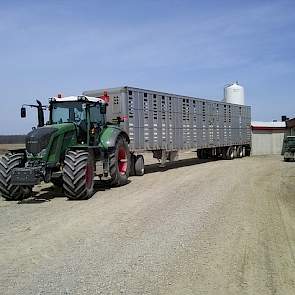 De familie heeft drie trucks waarmee ze zelf de varkens vervoeren. Met een grote truck vervoeren ze de biggen van 25 kilogram. Met een andere trailer achter de truck vervoeren ze de slachtzeugen en speenbiggen. Tot slot gebruiken ze een oude schoolbus voo