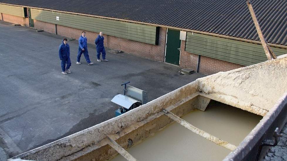 CCM is één van de hoofdbestanddelen in de brij die ze aan de varkens voeren. Het voerrantsoen bestaat voor de helft uit een voormengsel met ccm, friet en brood.