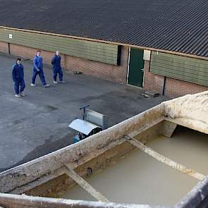 CCM is één van de hoofdbestanddelen in de brij die ze aan de varkens voeren. Het voerrantsoen bestaat voor de helft uit een voormengsel met ccm, friet en brood.