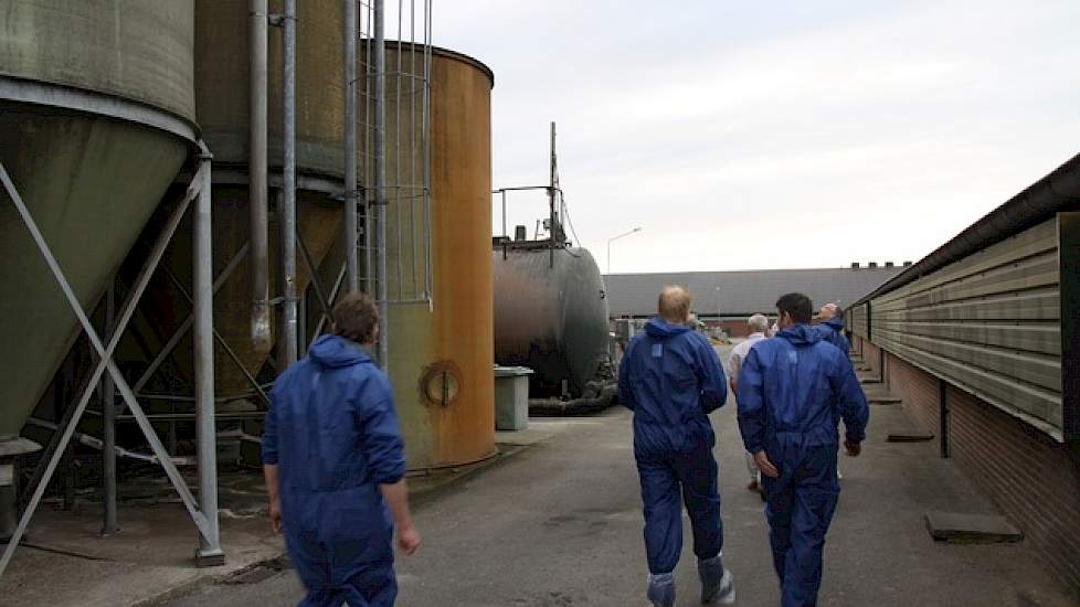 Aad van Leeuwen noemt de voerkeuken de ruimte waar de koks werken en de subkeuken de serveersters. „Die serveren het voer uit aan de varkens.”