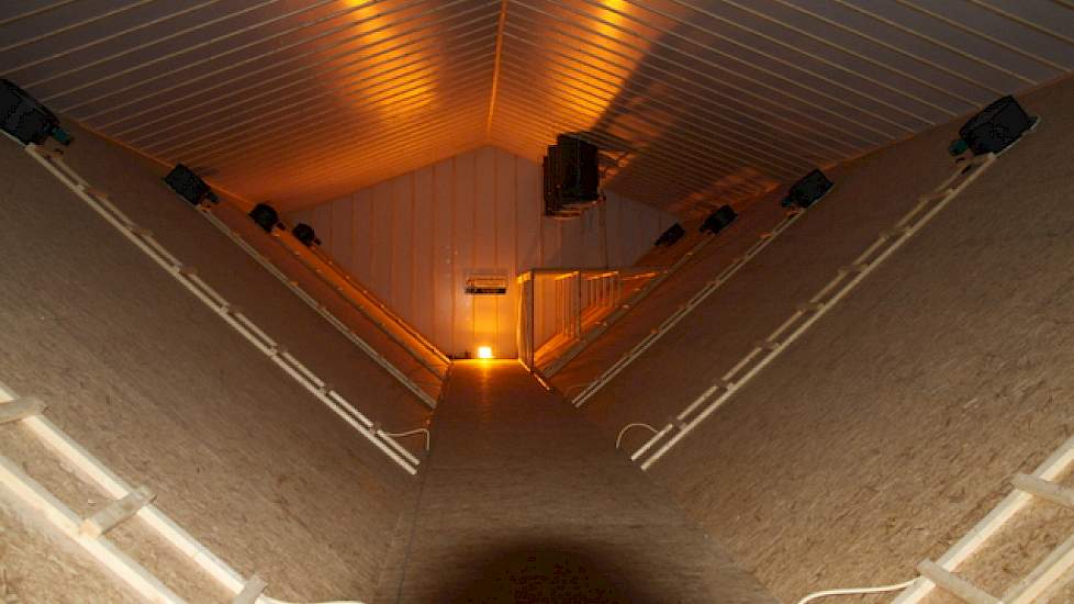 Het bouwbedrijf maakte schuine wanden in het centraal afzuigkanaal zodat de stof naar beneden valt. Via een houten ladder kan de varkenshouder naar de ventilatoren klimmen om deze schoon te maken.