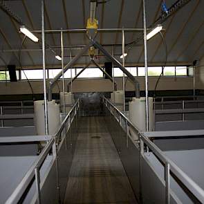 De lichtstraat aan beide zijdes van de nieuwe stal zorgt voor daglicht in de stal. De stal van Richard en Yvonne Hegeman bestaat uit zes afdelingen, vijf van 192 en één van 156 vleesvarkens.