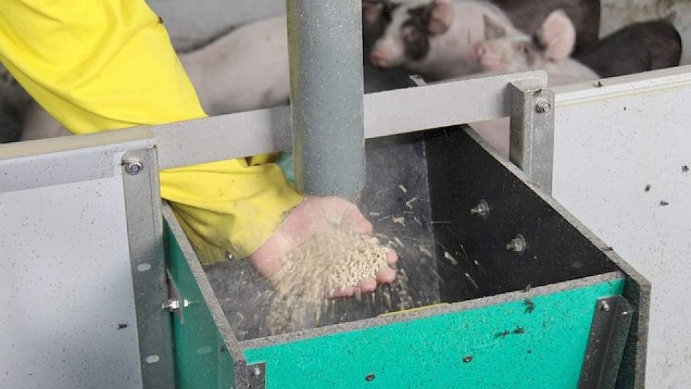 Net als de zeugen krijgen de gespeende biggen en vleesvarkens op het bedrijf mengvoer. Het voer is van Nederlandse makelaardij. Al het voer bestelt Roerdink bij Forfarmers Hendrix.