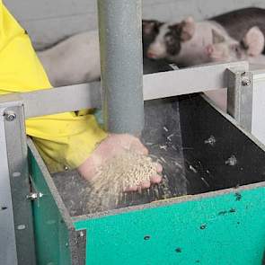 Net als de zeugen krijgen de gespeende biggen en vleesvarkens op het bedrijf mengvoer. Het voer is van Nederlandse makelaardij. Al het voer bestelt Roerdink bij Forfarmers Hendrix.