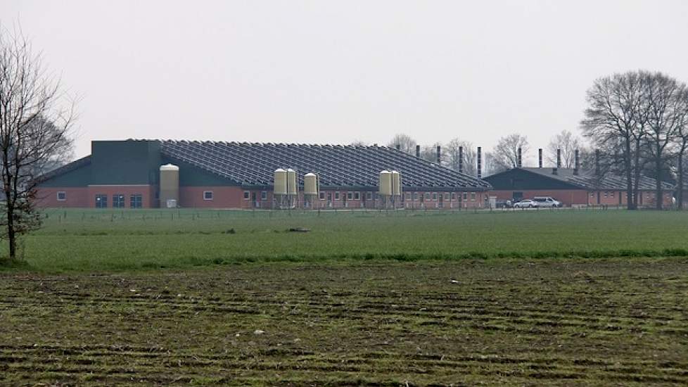 Het dak van de zeugen- en gespeende biggenstallen ligt vol met zonnepanelen. De daken zijn verhuurd aan een externe partij die de investering en de exploitatie van de zonnepanelen voor zijn rekening neemt.