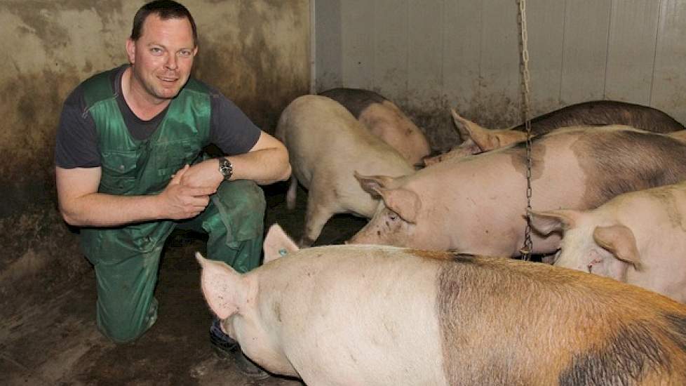 Wekelijks leveren ze nu ongeveer 200 vleesvarkens af. De vleesvarkens leveren ze aan Westfleisch. Ze krijgen de varkens uitbetaald via de Mehrwochepreis. Dit is een gemiddelde notering over meerdere weken.