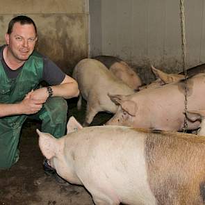 Wekelijks leveren ze nu ongeveer 200 vleesvarkens af. De vleesvarkens leveren ze aan Westfleisch. Ze krijgen de varkens uitbetaald via de Mehrwochepreis. Dit is een gemiddelde notering over meerdere weken.