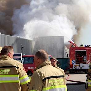 Schils behoort tot de Van Drie Group. Schils is gespecialiseerd in de ontwikkeling en verkoop van melkvervangende producten voor jonge dieren, zoals kalveren, lammeren en biggen. In Sittard maakt Schils producten onder zowel eigen merknaam als in klanteig