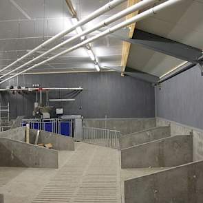 Bij het voerstation heeft Mijnheer de mogelijkheid om drie voersoorten te voeren. Dit is vooral ingegeven door de praktijkproeven die Agruniekrijnvallei uitvoert. Bovendien voert hij nog proeven uit voor fokkerijorganisatie Topigs Norsvin. Dit houdt voora