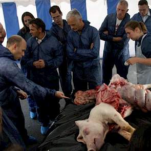 Een van de belangrijkste organen van het varkens is het maagdarmstelsel. Dierenarts Leonie de Louw liet zien wat er met het darmstelsel van varkens kan gebeuren. „Maagzweren kunnen een plotseling dood veroorzaken of tot zeer slechte prestaties leiden. Daa