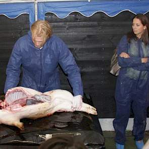 Dierenarts Bram Goesten liet in zijn post mortem onderzoek de verschillende organen en onderdelen van het varken zien, waaronder de longen, lever, milt.