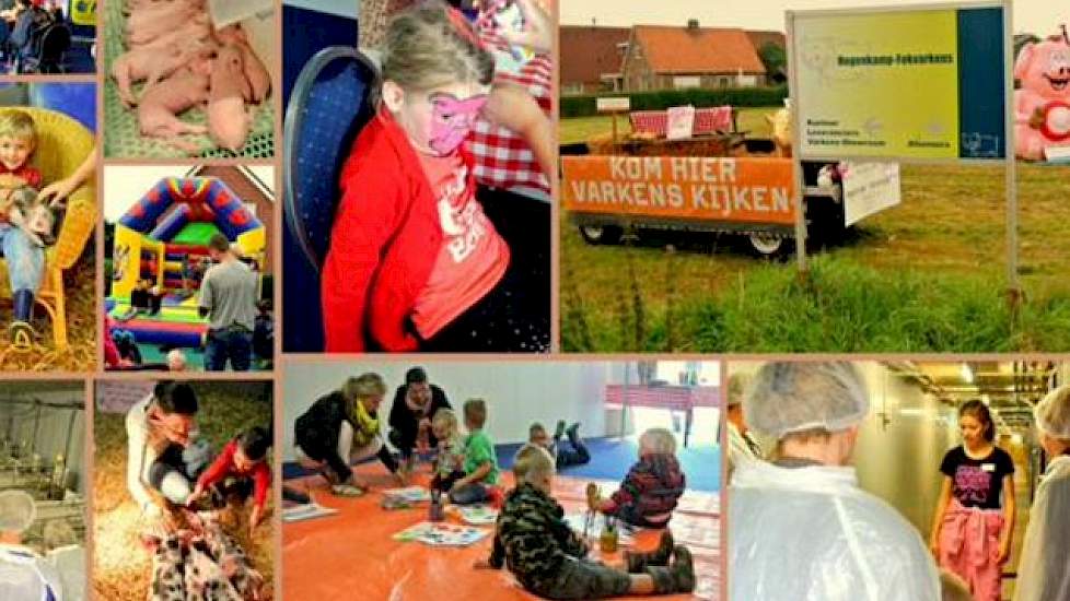 Bezoekers konden op het varkensbedrijf in Dalfsen in de stallen kijken, schminken, met biggen aaien en op de foto's. Ook was er onder meer een luchtkussen aanwezig.