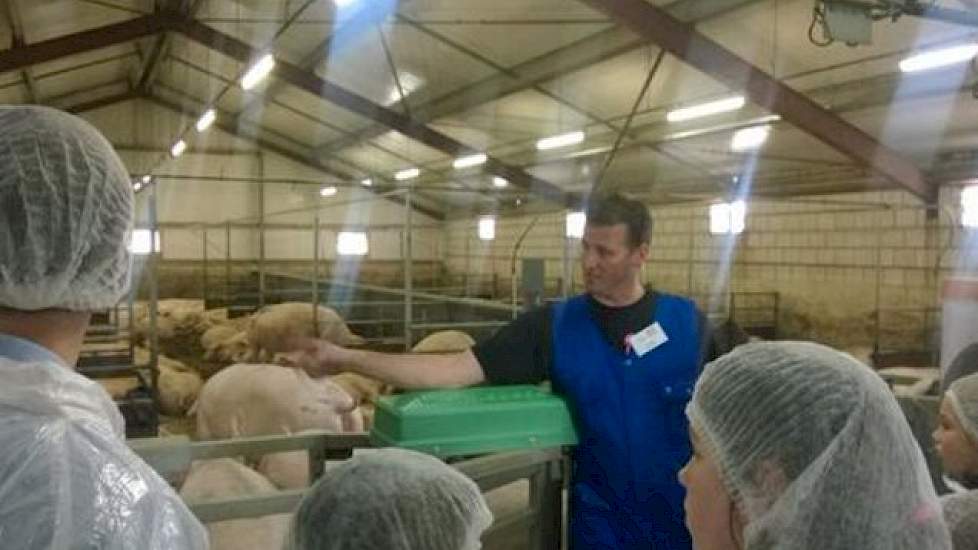 Diverse varkenshouders hielpen collega's bij hun activiteiten. Zo krijgen bezoekers hier uitleg van varkenshouder Rene Witlox in de zeugenstal bij de familie Van Asten.