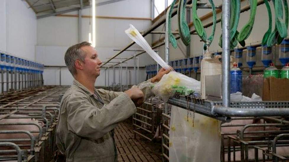 Dirks werkt met een tweewekensysteem zodat hij kan focussen op één activiteit, hier is de varkenshouder in 2008 mee begonnen. De varkenshouder is geen voorstander van het gebruik van hormonen en gebruikt deze dan ook niet bij zijn zeugen. Terugkomers schu