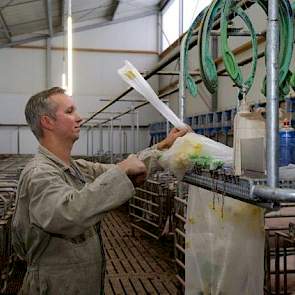 Dirks werkt met een tweewekensysteem zodat hij kan focussen op één activiteit, hier is de varkenshouder in 2008 mee begonnen. De varkenshouder is geen voorstander van het gebruik van hormonen en gebruikt deze dan ook niet bij zijn zeugen. Terugkomers schu