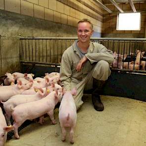 Het bedrijf telt 600 zeugen en 800 vleesvarkensplaatsen, inclusief de opfokgelten. Nadat het bedrijf in 2005 herbevolkt werd met SPF zeugen van PIC is Dirks eigen aanfok gaan doen. Op die manier heeft hij zelf in de hand wat voor zeugen er in zijn stallen