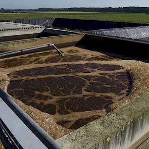 Een reden voor de uitbreiding met 2.200 varkens was het feit dat hij met Trevi nu nog meer kaliwater kan produceren voor zijn aardappelen. De mest wordt eerst in dunne en dikke fractie gescheiden. De dunne fractie gaat naar een bassin en door bacteriën ko