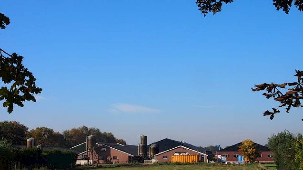 Tot de huidige uitbreiding, had het bedrijf een gesloten omvang met 250 zeugen en 2.400 zeugen verdeeld over twee locaties. Op hun thuislocatie was tot voor kort plaats voor 2.400 vleesvarkens en 800 speenbiggen. Ruim een kilometer verder op het ouderlijk