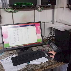 Net zoals in de kraamstal, krijgen ook in de dekstal de zeugen volledig automatisch meerdere porties voer per dag. Gijsbers’ plan is om de dieren vier porties per dag te geven. In de dekstal begint hij met flushvoer. Na een aantal dagen schakelt de varken