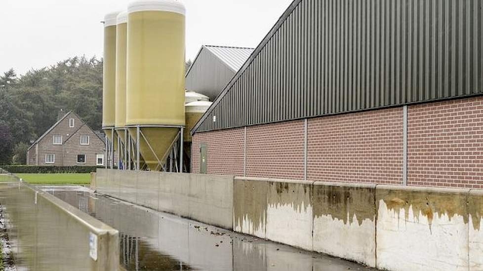 Zelf teelt Van den Borne een deel van zijn korrelmaïs. Hij heeft 9 hectare grond in eigendom wat goed is voor 100 ton ccm. Hij heeft een opslagcapaciteit voor 500 ton ccm op zijn erf. De overige 400 ton koopt de Nederlander in de buurt aan. Hij begroot de