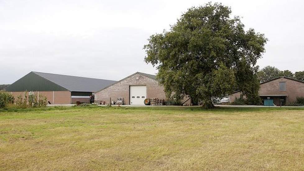 De nieuwe stal staat links op de foto. Custers verwerkte hierin een aantal eigen ideeën. Naast 750 Topigs-20-zeugen telt het bedrijf ook 6.500 vleesvarkensplaatsen. Die liggen op twee andere locaties.