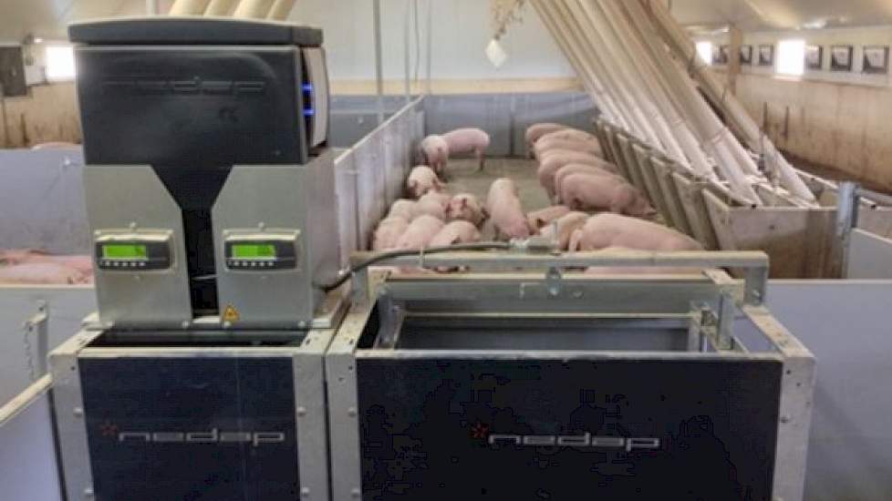 De Nedap Pig Performing Test unit is een nieuw apparaat van fabrikant Nedap wat per dier dagelijks de voeropname en diergewicht meet. Aan de hand van deze twee gegevens bepaalt de installatie dagelijks de voederconversie per varken.