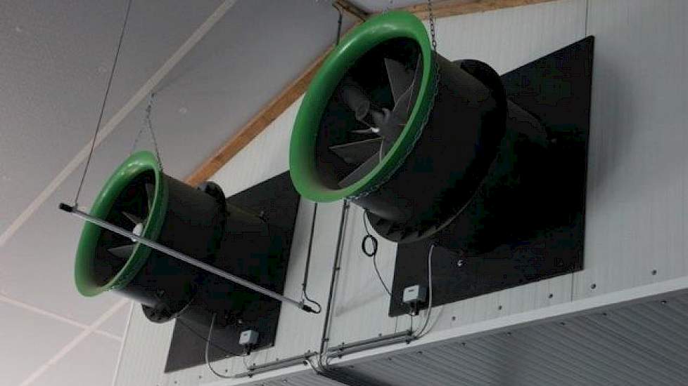 De stal kent geen verwarming. Zodra de temperatuur oploopt, blazen deze twee grote ventilatoren in de oostgevel de stallucht in de biologische luchtwasser.