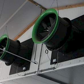 De stal kent geen verwarming. Zodra de temperatuur oploopt, blazen deze twee grote ventilatoren in de oostgevel de stallucht in de biologische luchtwasser.