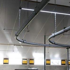 Lichtstraat en led-verlichting. Het lijkt een detail, maar Jos Naalden liet drie aparte circuits met led-tubes en een daglicht/schemerschakeling in de stal installeren. De hoeveel daglicht bepaalt automatisch hoeveel rijen led-tubes licht geven.