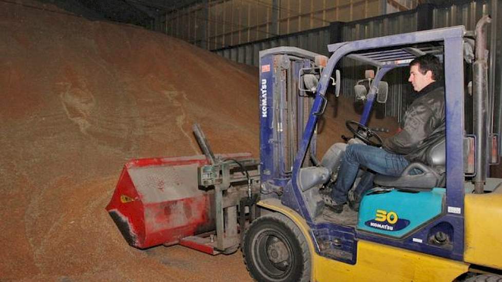 Het uithalen van tarwe in de akkerbouwloods voor de vleesvarkens gebeurt met de vorkheftruck waarop een bak van 1.500 liter gemonteerd is.