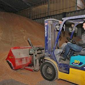 Het uithalen van tarwe in de akkerbouwloods voor de vleesvarkens gebeurt met de vorkheftruck waarop een bak van 1.500 liter gemonteerd is.