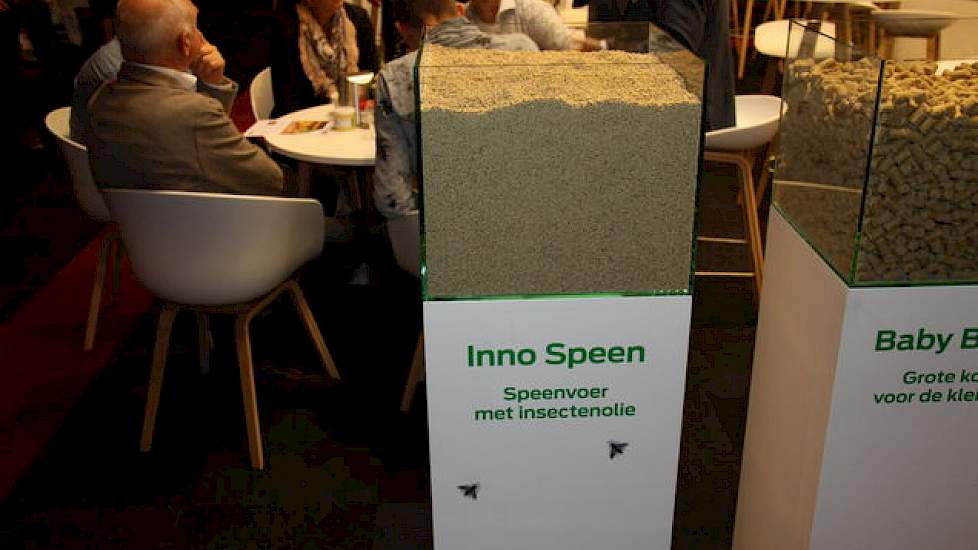 Coppens Diervoeding presenteerde hun nieuwe Inno speenvoer voor speenbiggen. Hier zit insectenolie in. „Insectenolie bevat laurinezuur, dit is antibacterieel en werkt in de darm van jonge biggen tegen clositridium en streptococcen”, vertelt verkoopdirecte