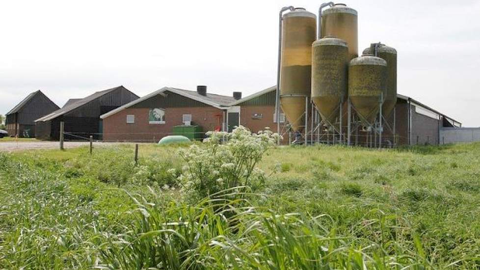 Samen met haar man heeft Van der Haar een bijna gesloten bedrijf met 240 Topigs50 zeugen. In 2009 werd een nieuwe stal gebouwd voor guste en dragende zeugen. De kraamzeugen liggen in een verbouwde grupstal (2010) met kraamopfokhokken. De vleesvarkens ligg