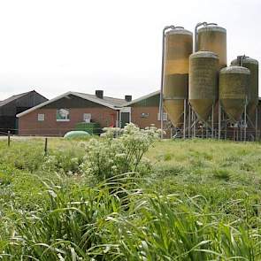 Samen met haar man heeft Van der Haar een bijna gesloten bedrijf met 240 Topigs50 zeugen. In 2009 werd een nieuwe stal gebouwd voor guste en dragende zeugen. De kraamzeugen liggen in een verbouwde grupstal (2010) met kraamopfokhokken. De vleesvarkens ligg