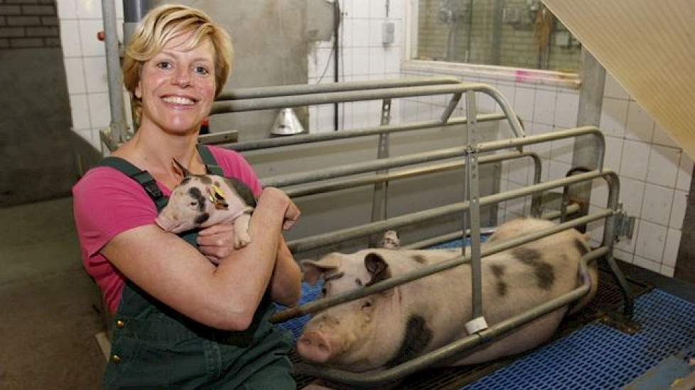 Heleen runt de kraamstal. En Dotje is haar bedrijfsmascotte. Ooit was Dotje het enige dier met vlekken in een verder volledig blanke toom biggen. Heleen: „Daarom mag ze van mij blijven leven zolang dat mogelijk is. Als Dotje sterft zal ik weer een nieuwe