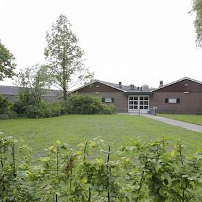 Holtmanns’ zeugenhouderijbedrijf, hier op foto, ligt mooi in het groen verscholen. De biggenopfok gebeurt op een ander bedrijf dat de familie in 2006 aankocht en dat enkele kilometers verderop staat.