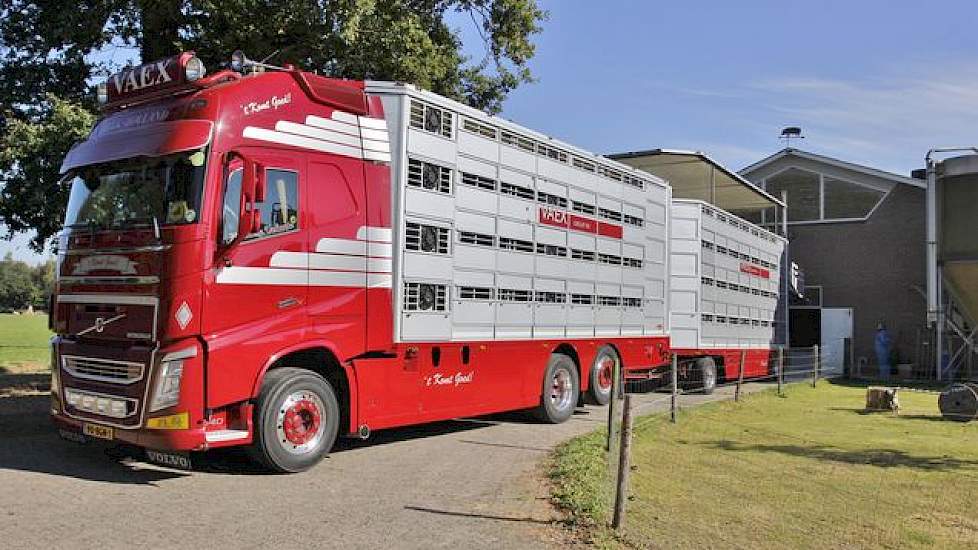 VAEX Varkens- en Veehandel komt meestal wekelijks biggen halen. Dit bedrijf speelt voor Toonk een belangrijke rol om de grenzen te slechten, want in Duitsland gaat het net even anders. Zowel de voerleverancier als de dierenarts geven de doorslag in de keu