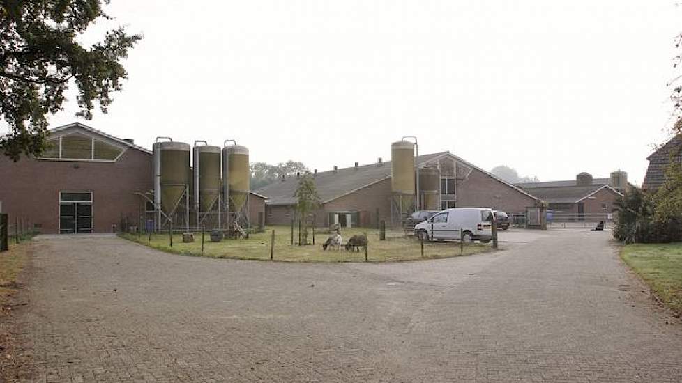 De stallen zijn ongeveer twintig jaar oud. Bij de bouw behoorden ze met schuine putwanden en mestpannen in de kraam- en biggenafdeling tot de eerste Groenlabelstallen. Als Toonk gaat renoveren, komen de kraamzeugen los te kopen. De voerligboxen in de zeug