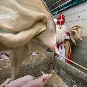 Hoewel NVV en LTO Varkenshouderij het een sympathiek idee vonden, hebben zij hun leden afgeraden om via Varkens in Nood een bestelling voor jute zakken te doen. Met zo’n bestelling geven varkenshouders namelijk privégegevens en inhoudelijke informatie ove