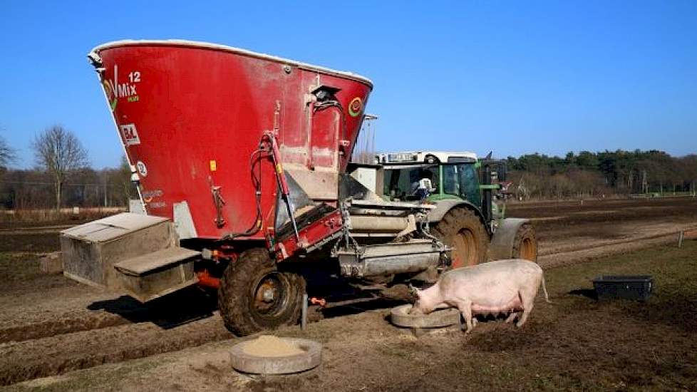 Alle zeugen in de weitjes krijgen dagelijks hun eigen verse rantsoen: een vochtig mengsel op basis van eigen silage van snijmais en suikerbieten. Daarnaast wordt sojapulp, maismeel, tarwegries, gerst en aanvullend voer bijgemengd.