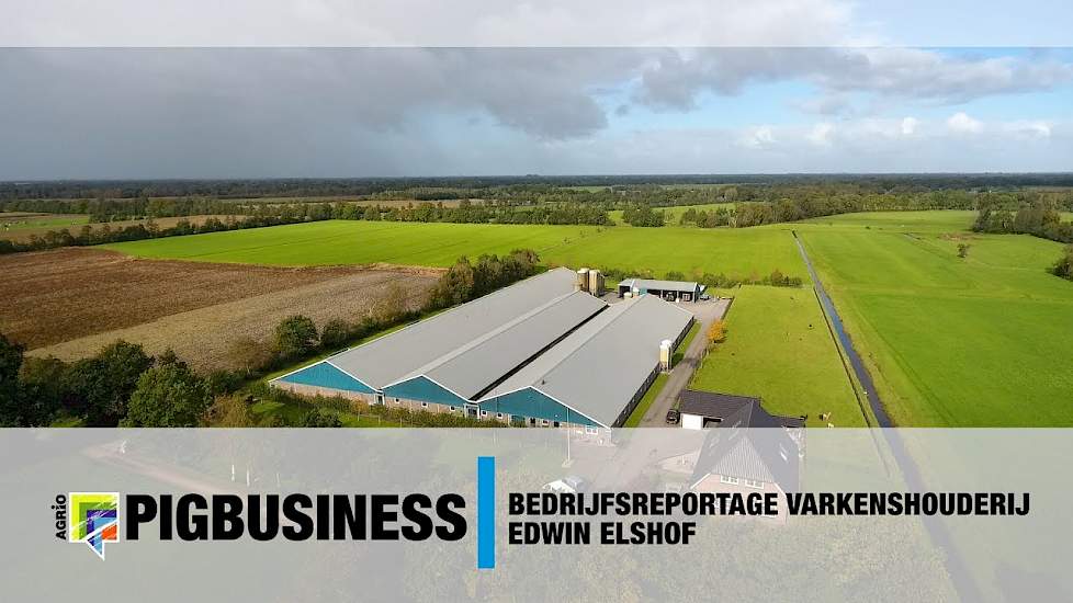 Impressie varkenshouderij Marum Edwin Elshof