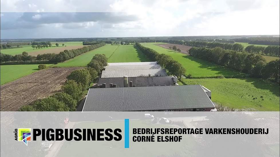 Impressie varkenshouderij Sonnega B.V. Corné Elshof