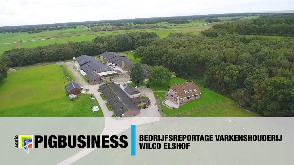 Impressie varkenshouderij Wilco Elshof